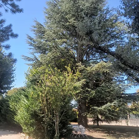 D'hote La Sousto Chamaret